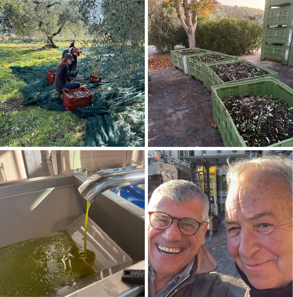 The Story Of the 2025 Harvest - Libellula