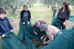 Libellula Olive Harvest Trip